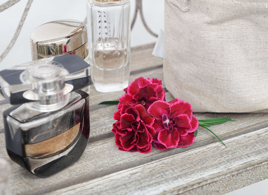 Duft-Nelke (Dianthus) 'DiaDeur® in verschiedenen Farben