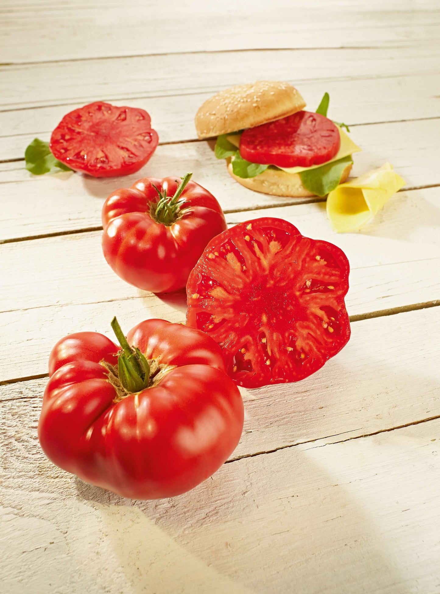 Veredelte Tomaten im Spar-Set | 3 Stück