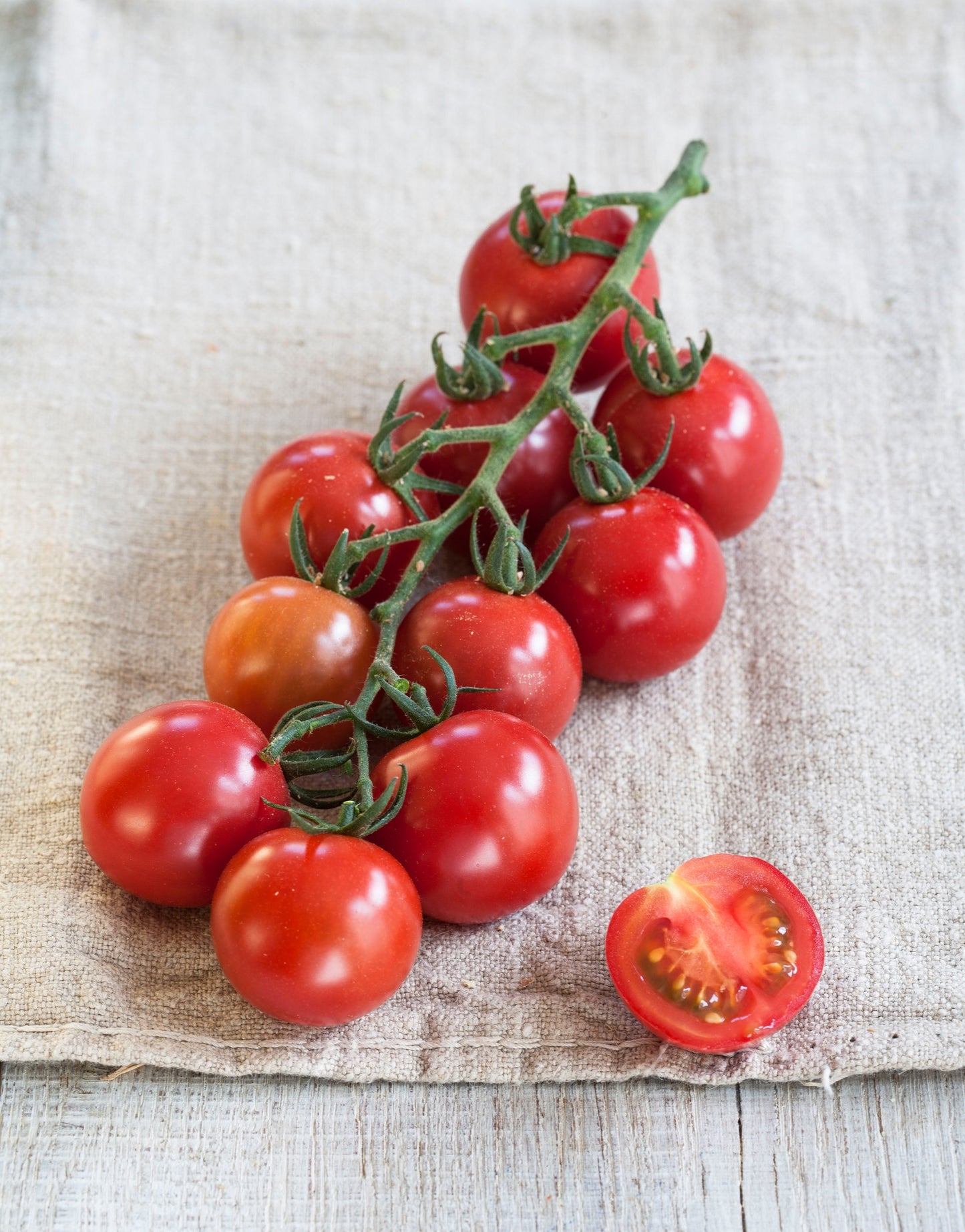 Veredelte Tomaten im Spar-Set | 3 Stück