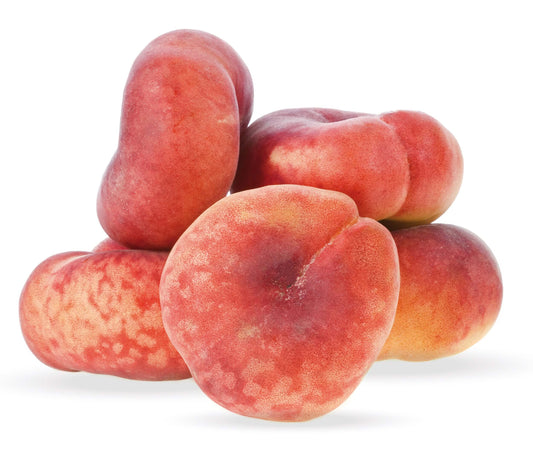 Balkon-Weinberg-Pfirsich 'Fruit Me® Peach Me Donut' T19