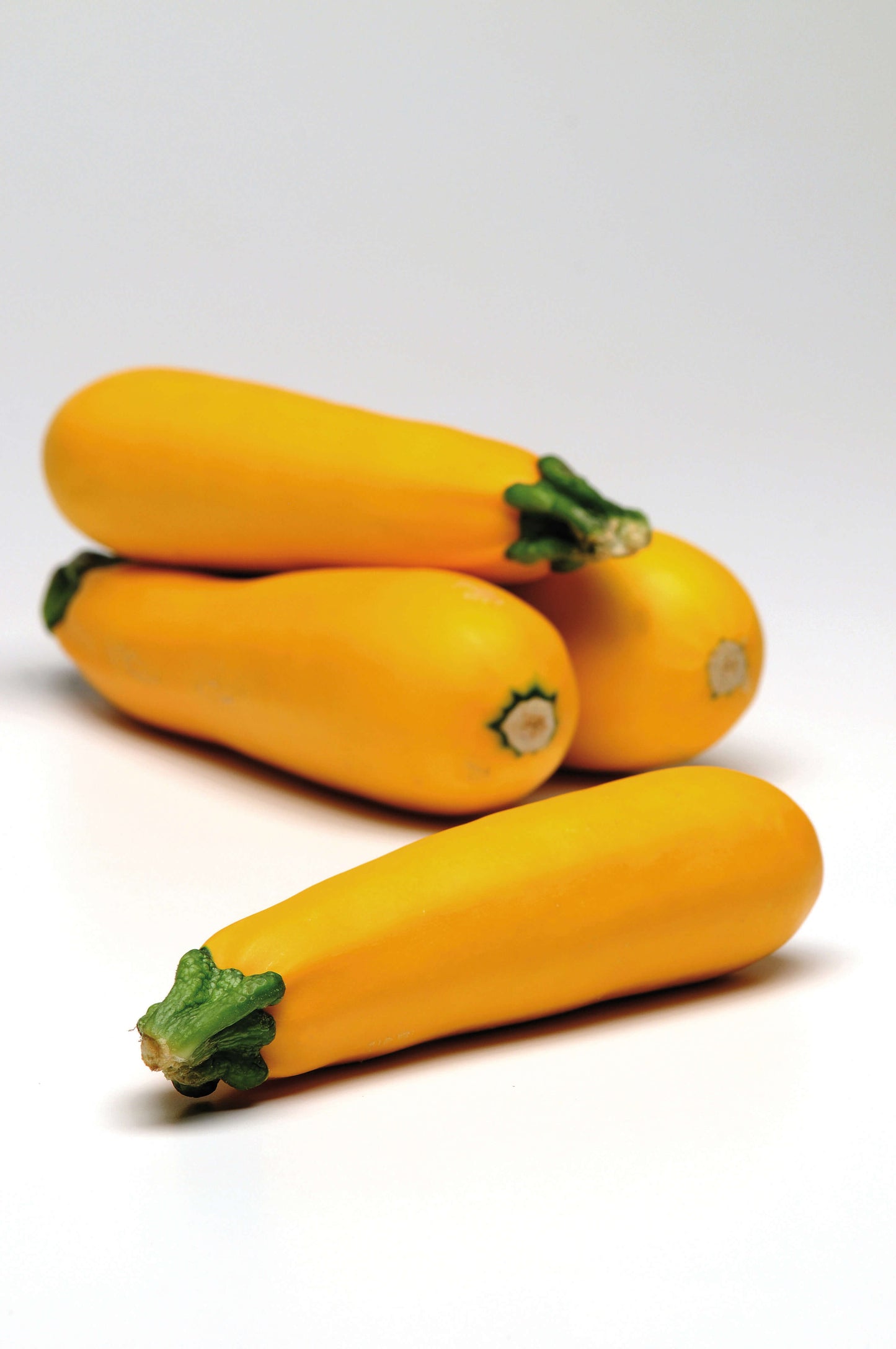 Zucchini gelb T12