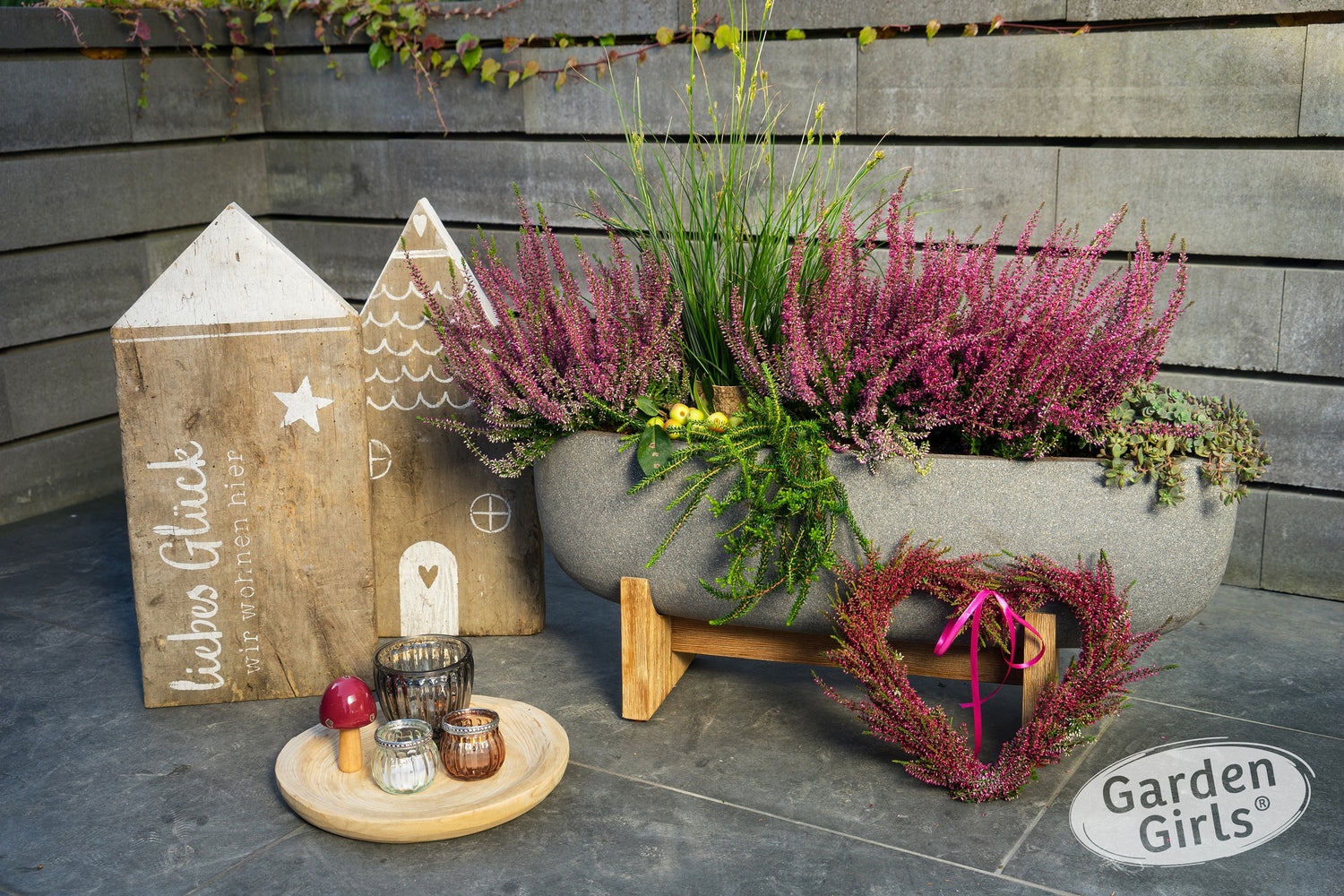 Knospenheide (Calluna) Gardengirls®