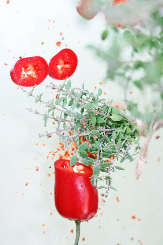 Chili-Thymian (Thymus vulgaris) 'Summerdreams® Spicy' T12