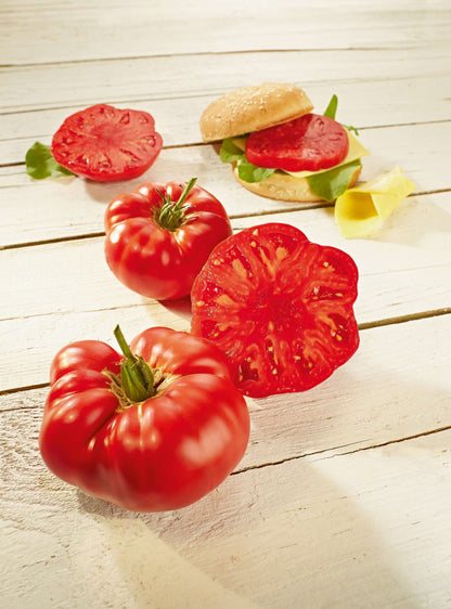 Veredelte Tomaten im Spar-Set | 3 Stück