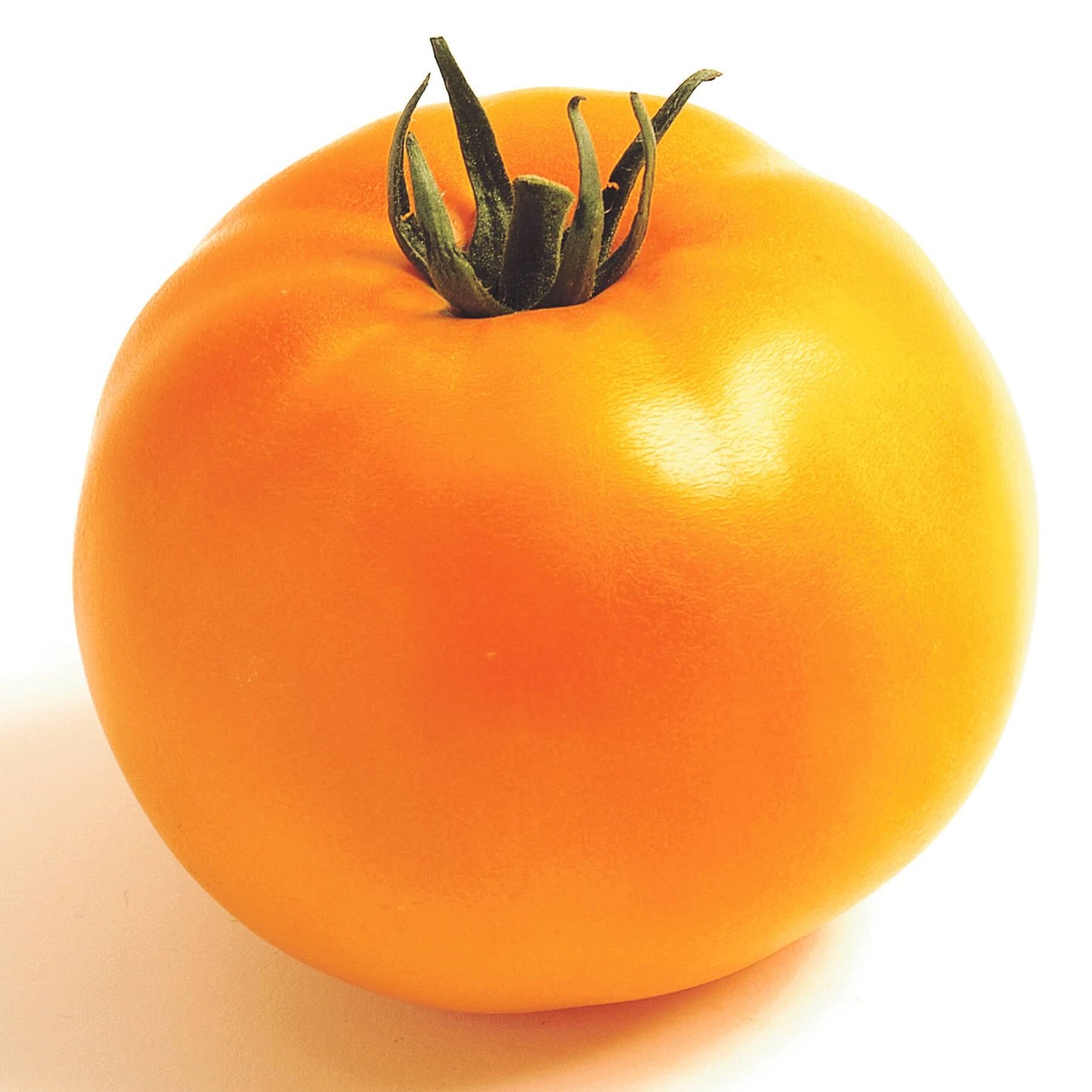 Fleischtomate 'Imagine® Maxi' veredelt in verschiedenen Farben