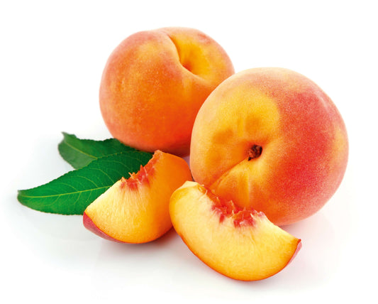 Gelber Balkon-Pfirsich 'Fruit Me® Peach Me Yellow' T19