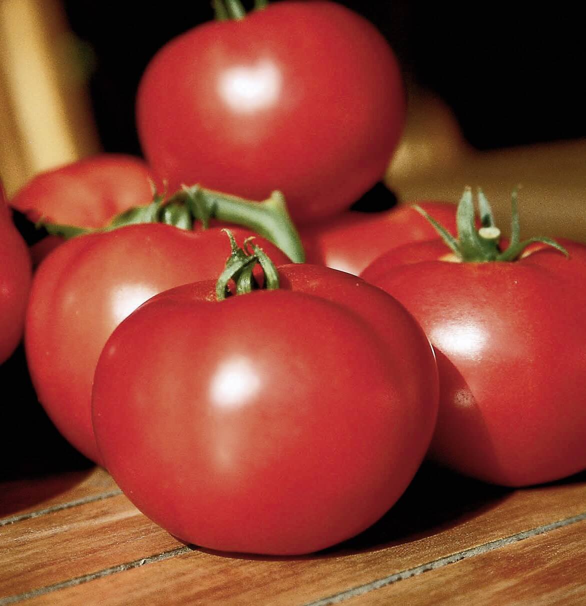 Kleine Fleischtomate 'Fantasio' veredelt